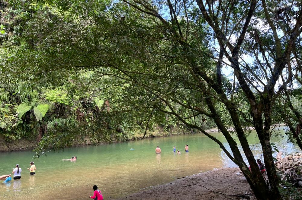 Festival Marimba Santa en San Cipriano fusiona cultura, turismo y econom&iacute;a en Semana Santa