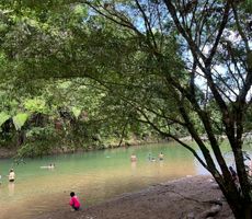 Festival Marimba Santa en San Cipriano fusiona cultura, turismo y econom&iacute;a en Semana Santa