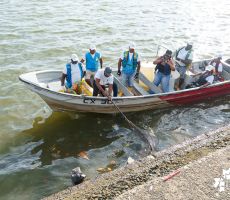 El EPA ha retirado 29 toneladas de residuos en jornadas de limpieza de la bah&iacute;a de Buenaventura