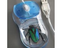 Un mouse que trae una araña de regalo