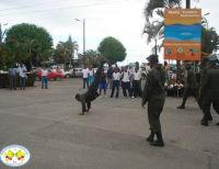 CON ÉXITO CONCLUYÓ EL 8º. FESTIVAL DE MACETAS