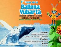 Hoy lanzamiento del Festival de la Ballena Yubarta
