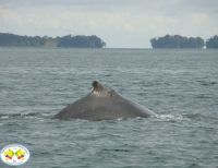 Bahía Málaga, por fin Parque Natural