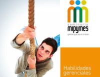 Seminario mipymes, Habilidades Gerenciales