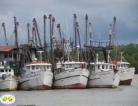 La pesca está ausente de las movidas del Gobierno