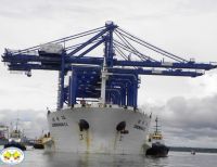 Llegaron las grúas pórtico a TCBUEN