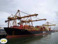 Inspecciones físicas a contenedores generan traumatismos en la Sociedad Portuaria