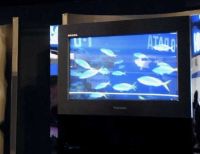 Toshiba presenta una TV en 3D que no requiere lentes