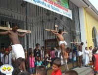 Noticias de la Fé Bonaverense