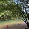 Festival Marimba Santa en San Cipriano fusiona cultura, turismo y economía en Semana Santa