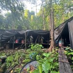 La Armada de Colombia destruyó cristalizadero de cocaína en Nariño con más de 373 kilos del alcaloide