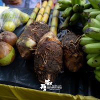 Fundaci&oacute;n Puerto Aguadulce Compas 23