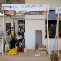 Valle Agro 16