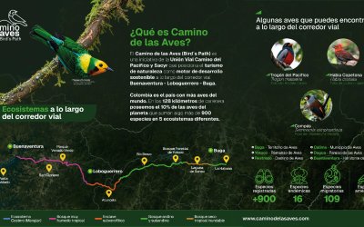 Unión Vial Camino del Pacífico anuncia el "Camino de las Aves" como apuesta estratégica en la doble calzada Buenaventura a Buga