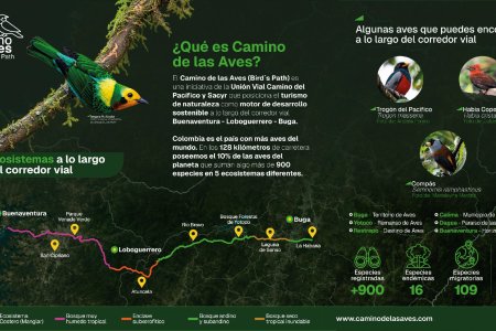 Unión Vial Camino del Pacífico anuncia el "Camino de las Aves" como apuesta estratégica en la doble calzada Buenaventura a Buga