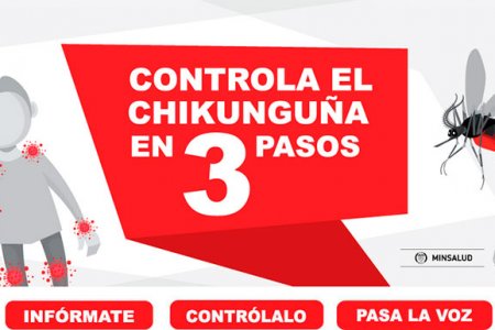 Información que usted debe saber sobre el virus Chikungu&ntilde;a