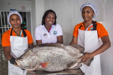 Una pesca responsable para el Pacífico Colombiano