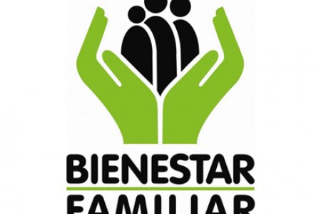 Defensorías de Familia deben estar debidamente conformadas por el ICBF
