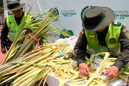 No toleraremos el tráfico de palma de cera y especies silvestres: Policía Nacional