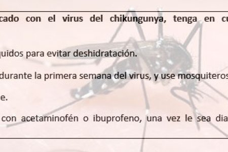 Chikungunya, un nombre exótico para un virus indescriptible