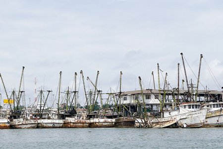 El sector pesquero del pacífico asegura que diferentes reglamentaciones que se han adoptado desde el Estado los están perjudicando