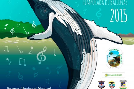 Temporada de ballenas 2015