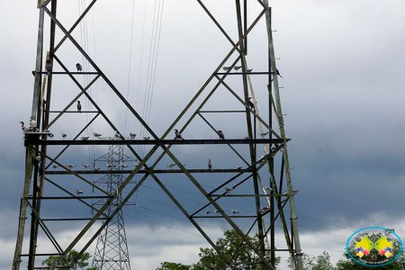 Por mantenimiento en red de energía, habitantes de Juanchaco, Ladrilleros y la Base Naval no tendrán servicio durante dos días