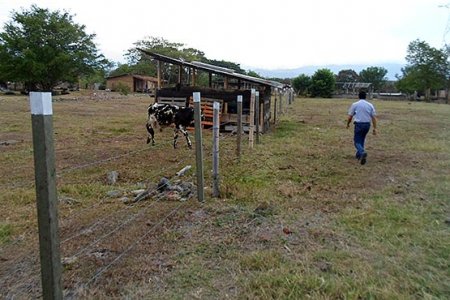 Tierras de extintos narcotraficantes pasan a manos de víctimas en Candelaria Valle