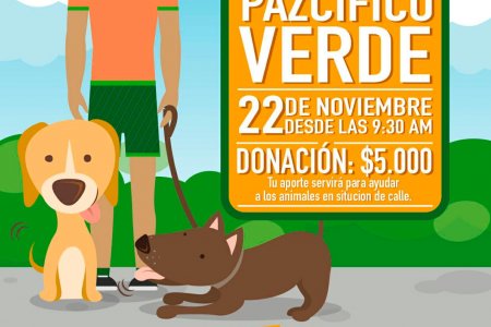 Caminata canina y felina este 22 de noviembre organizada por Pazcifico Verde