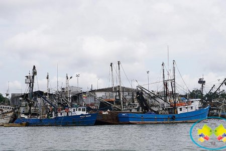 Fueron asaltadas tres embarcaciones pesqueras en el pacífico caucano