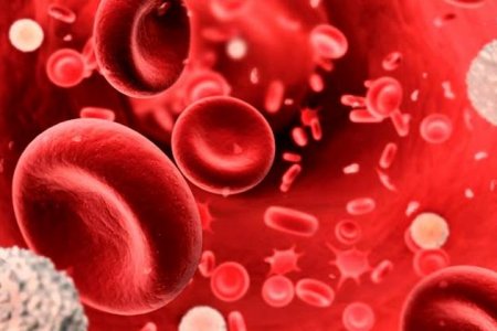 Ibrutinib y Daratumumab, dos moléculas que cambiarán la vida de los pacientes con cáncer en la sangre