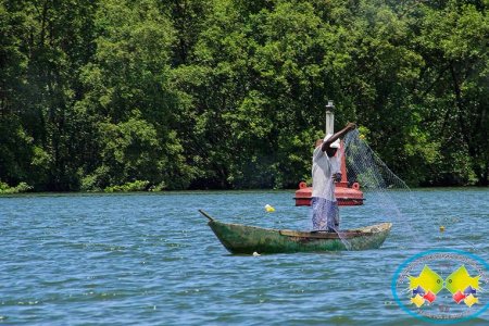 En Buenaventura un paso más cerca a la consolidación de la cadena productiva de pesca en el Pacífico