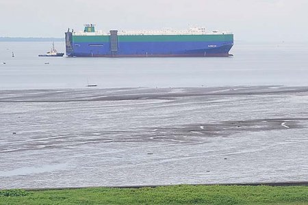 La Motonave Platinum Ray, dedicada al transporte de vehículos encalló por unas horas en el canal de la bahía de Buenaventura