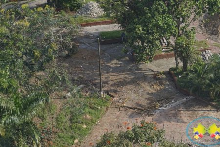 Concejales solicitan explicación sobre tala de árboles en obras del Malecón Bahía de la Cruz