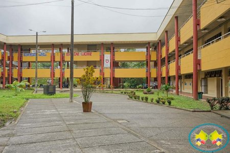 Estampilla pro Universidad del Pacífico será presentada este mes a la Asamblea