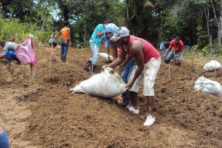 Estudiantes de Agronomía del Trópico Húmedo de Unipacífico, contarán con tres hectáreas de tierra para hacer investigación