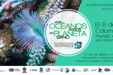 Buques oceanográficos ARC “Providencia” y ARC “Malpelo” estarán abiertos al público esta semana