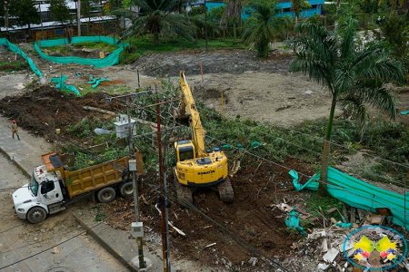 1.807 árboles serán reforestados en la obra Malecón Bahía de la Cruz