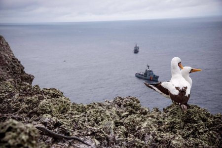 Armada Nacional continúa la  búsqueda de buzos desaparecidos en Malpelo