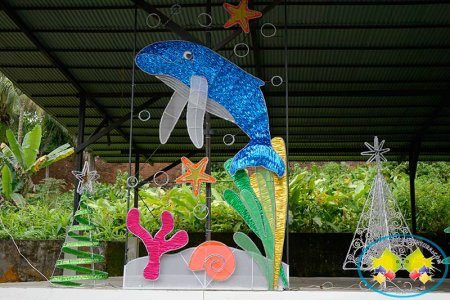 Se cerró licitación de alumbrado navide&ntilde;o en Buenaventura
