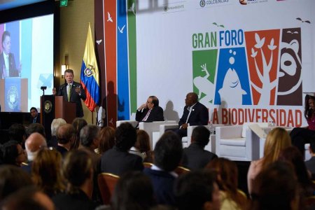 Colombia no fumigará más los cultivos ilícitos, anunció el Presidente Santos