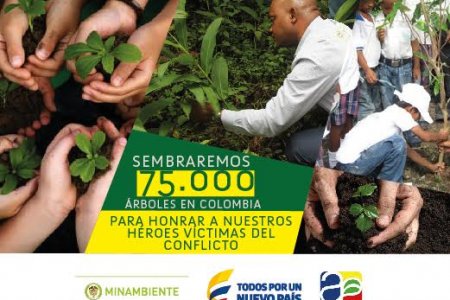 Plantemos Memorias de Paz