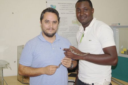 La serpiente 'equis, mapaná, pelo de gato o pudridora', captó la atención del INS para la producción de suero antiofídico