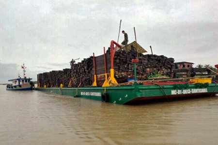 Armada Nacional realiza operativos contra la explotación ilegal de madera en el pacífico colombiano