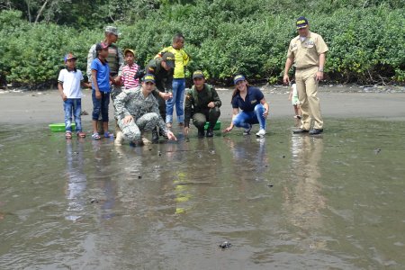 La Armada Nacional rescata y libera 80 tortugas marinas en vía de extinción