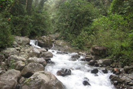 Gobernación, CVC y sector privado suscribirán compromiso para protección de cuencas y producción de agua