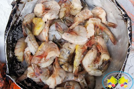 Del 15 de enero al 15 de marzo se realizará la veda de aguas someras y profundas en el pacífico colombiano