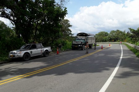 La Armada Nacional incautó madera ilegal en la entrada al Bajo Calima