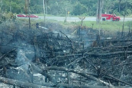 Incendio forestal fue provocado