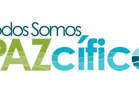 Plan Pazcífico alcanza aprobación de proyectos de energía eléctrica por un monto de $ 35 mil millones